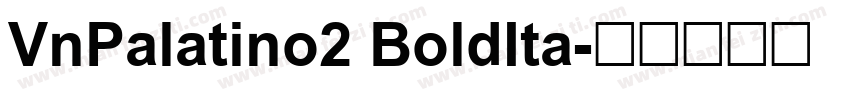 VnPalatino2 BoldIta字体转换